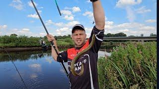 Aal angeln und braten | Catch&Cook am Tiedefluss #aal #fishing #angeln #outdoors