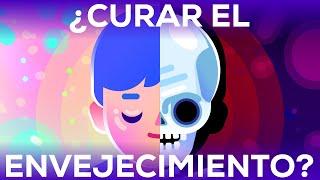 ¿Cómo curar el envejecimiento ahora que aún vivimos?