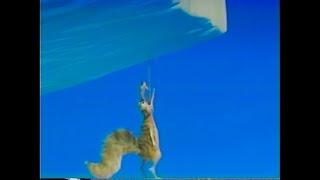 Ice Age 2: The Meltdown: Scrat (VHS Capture) (2)