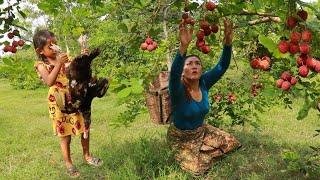 Found pick lychee fruit in forest- Mother cooking duck spicy so delicious for dinner with daughter