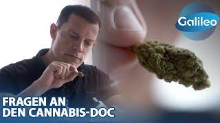 Der Cannabis-Doc & das Geschäft mit dem grünen Gold – Profitstreben oder Patientenwohl?