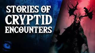 IT CAME TO TERRIFY - 15+ SCARY CRYPTID STORIES - What Lurks Above