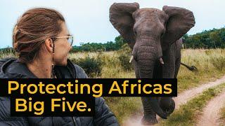 Wildlife conservation at Phinda, South Africa | Jack Wolfskin