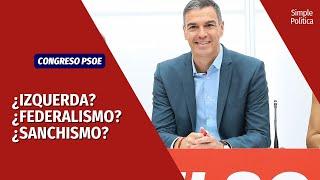 Pensando el PSOE de los próximos años | Simple Política