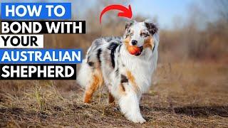 7 Effective Ways to Bond with Your Australian Shepherd