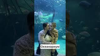 Куда сходить с ребенком на выходных в Москве 