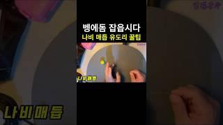 정석과 변형 그 사이!