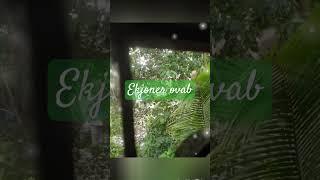 ekhoner ovab#viralvideo #shortsviral #shorts #shortvideos #shortsviral #shortsfeed #like #nkofficial