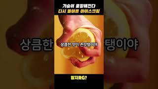 이게 재출시??ㄷㄷㄷ 다시 돌아온 아이스크림