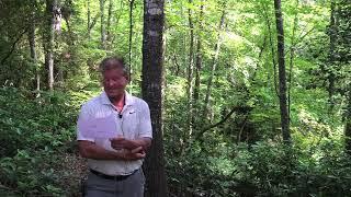 Lake Keowee Real Estate Video Update June 2025 Mike Matt Roach Top Guns