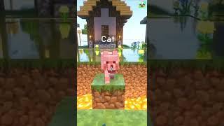 Pedro Pedro ft. Minecraft Sounds #shorts #minecraft