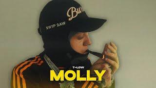 t-low - MOLLY (OFFICIAL VIDEO) prod.808Vibes