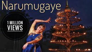 Narumugaye | Iruvar | Sandhya Vijayan | Dance cover |