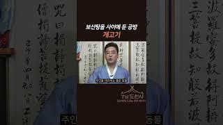 개가 주인에게 주는 복. 그리고 보신탕 #shorts  #강남점집 #서울점집 #강남용한점집