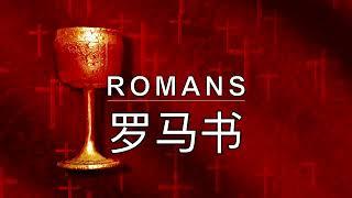 Mandarin Chinese Audio Bible - Book 45 - Romans - 罗马书