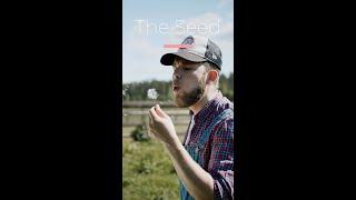 The Seed poem by icon303 #shorts