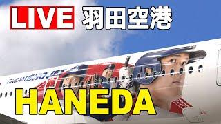 [LIVE] 羽田空港 JAL 大谷翔平ジェット 就航ライブ (9月29日AM) - Haneda Airport Live