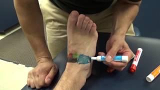 Ankle/Foot Bones
