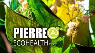 Pierre@Ecohealth