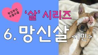 (꿀잼보장) '살'시리즈 6.도화살과 비슷한 망신살 1편/내사주 망신살 조심해야하는 시기/내사주 망신살 보는법