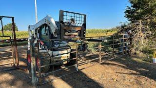 Pasture Gates like you've never seen