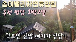 송이밸리 자연휴양림 추천 명당 1박2일 2021년 7월