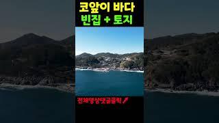 바닷가 1열 영구조망 파노라마 오션 뷰/ 바다 시골집과 토지/ 낚시광 모여랏! #shorts