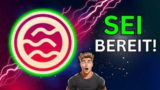 Dieser ALTCOIN Wird ALLE SCHOCKIEREN! Das Ist JETZT Zu TUN! | SEI Preis Prognose