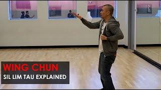 Sil Lim Tau Explained - Wing Chun, Kung Fu Report - Adam Chan