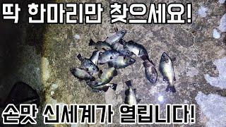 시마노 뱅퀴시 드랙음과 함께하는 영덕볼락낚시 (feat 울지마 바보야!)