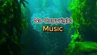 Free Background Music For Youtube Creator No Copyright Download For Content Creator