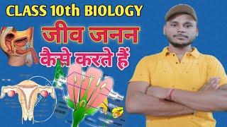 जीव जनन कैसे करते है chapter 2 class 10th biology l science 10th class chapter 7