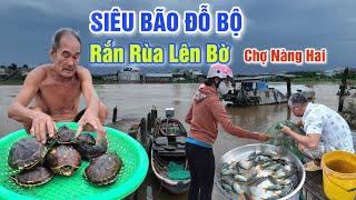 CĂNG QUÁ SIÊU BÃO YAGI ĐỖ BỘ BÀ CON LO LẮNG - RẮN RÙA LÊN BỜ Ở CHỢ NÀNG HAI SA ĐÉC