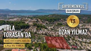 İzmir Urla'da Satılık Kadastral Yolu Olan 5855 m2 Arsa Paylı Tarla.. Ozan Yılmaz