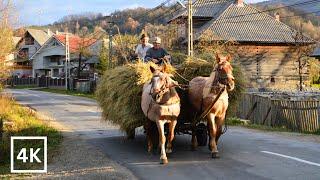 Romania Walking Tour of Biertan Village & Fortified Church  Hidden Gem in Transylvania