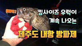 우럭 루어낚시 2차전 on 제주도 내항 방파제(rockfish fishing in Jeju island)