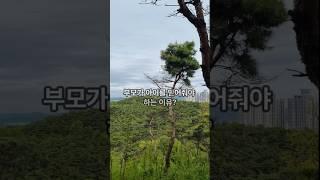 부모가 아이를 믿어줘야 하는 이유 ?    #지식 #교육공학 #동기부여 #부모 #아이 #믿음