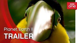 Planet Earth II: Trailer - BBC