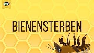 Bienensterben - Schlaumal Doku