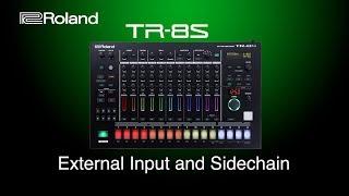 Roland - TR-8S - External Input and Sidechain