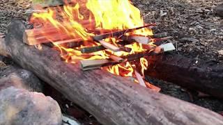 Fire Building, Batoning, & Feathersticks with Patrick Rollins