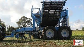 Edenhall 753 three-row trailed beet harvester