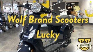 Wolf Lucky Highlights | 50cc Scoot at University Scooters