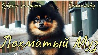 Лохматый Муз | Озвучка фанфика  | seaandsky БТСозвучка #bts #фанфик