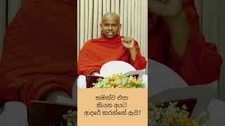 ආදරේ නිසා දුක් විඳින්න එපා️#welimada_saddhaseela_thero #bana #banakatha#dharmadeshana