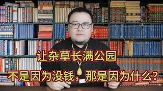 中国让杂草长满公园，却不是因为没钱维护，那真实的原是什么？