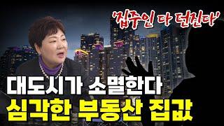 충격의 '대도시 소멸' 집값 반토막난 이유 | 청년도 떠나고 부동산 집값도 추락 위기의  상황