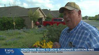 Homeowner trying to grow bluebonnets is frustrated with HOA fines