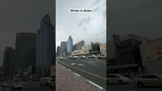 Dubai winter season. #dubaivlog #youtubeshorts #dubai