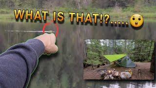 A LOOK BACK When I began my channel! Overnight solo camp adventure, RAIN & a LAKE MONSTER